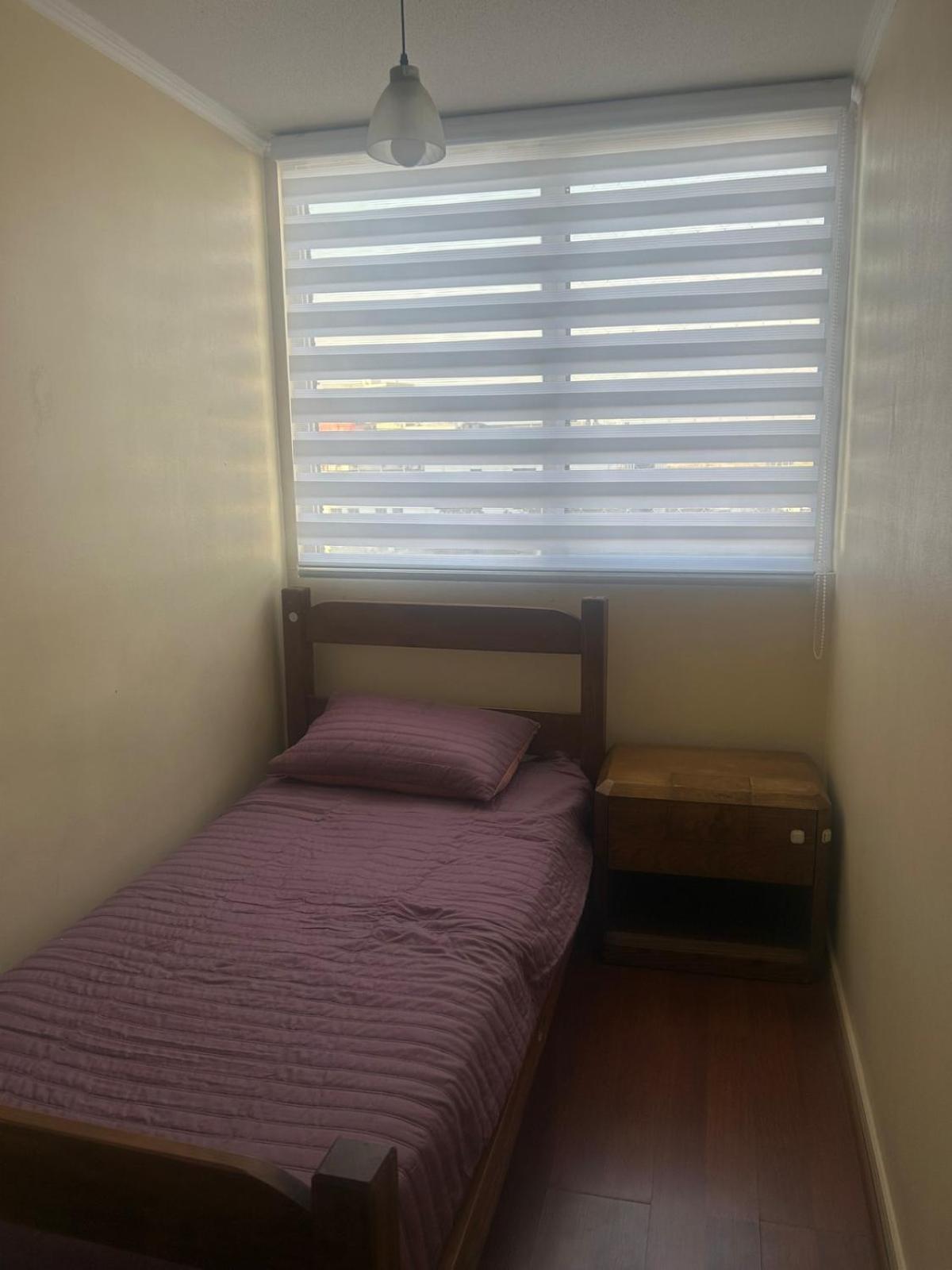 Departamento A Pasos De Estacion De Metro Tren Parque Bustamante Apartamento Santiago